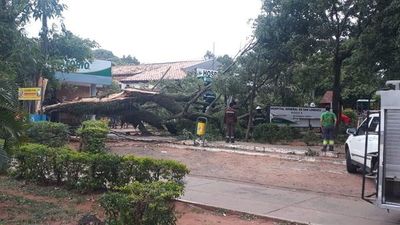 Vientos de hasta 106 km/h se registraron durante temporal y persiste alerta