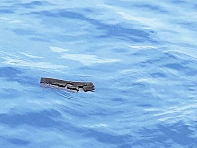 Fuerza Aérea de Chile descarta encontrar supervivientes de avión siniestrado