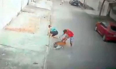El impactante video de un joven que salva a un niño de un pitbull