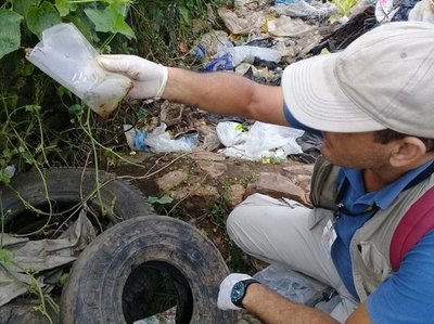 Cifras más altas de casos sospechosos de dengue se registra en Asunción