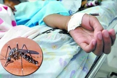 Hay sospechas de 10 muertes por dengue y unas 3 mil notificaciones semanales, según director de Salud
