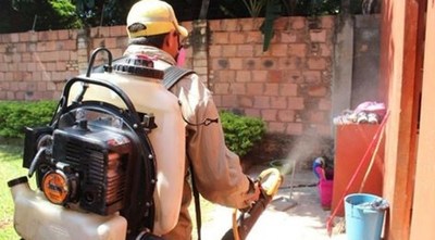No hay retraso de clases por dengue: El MEC promete rastrillaje en escuelas