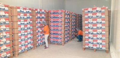 Paraguay realiza primer envío de banana a Chile