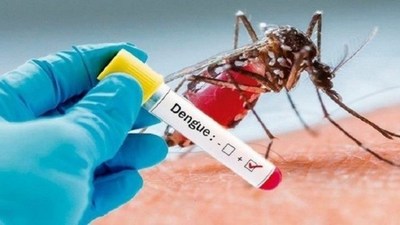 Clínicas: Aumento exponencial de casos de dengue