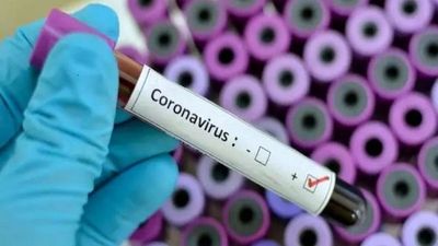 Paraguay emite alerta ante probable presencia de coronavirus en la región