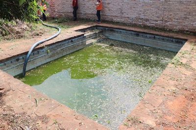 Fiscalía del Medio Ambiente allana viviendas con criaderos de mosquitos en Lambaré