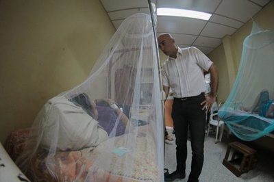 Mazzoleni asegura que Salud no descartaba la declaración de emergencia por dengue