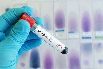 Dieta liviana y no beber alcohol, tips para superar el posdengue