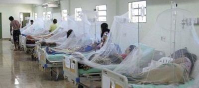 Ya son 104 los casos de dengue sólo en Santa Rosa Misiones
