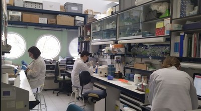 Científicos buscan vacuna contra el coronavirus