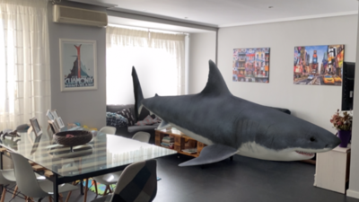 El truco de Google para poner animales 3D
