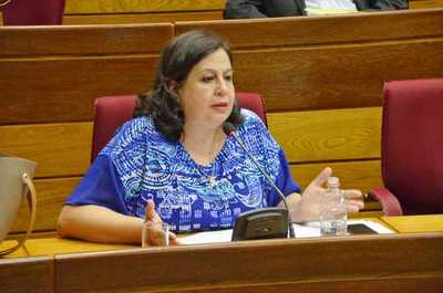 Los que tengan un patrimonio de 30 salarios mínimos deberían de aportar 1 %, propone senadora