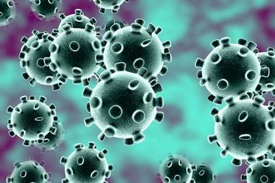 Coronavirus: más de 40.000 muertos en todo el mundo