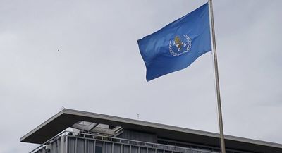 La Asamblea Mundial de Salud llama a examinar la gestión de la crisis del COVID-19 por la OMS