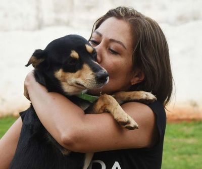 Animaleros celebran aprobación del pedido de informe sobre gestión del director de Defensa Animal