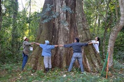 A Todo Pulmón lanza la novena edición de "Colosos de la Tierra"