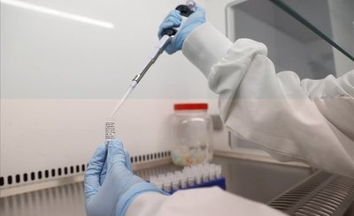Prueban un tratamiento que reduce la mortalidad en casos críticos de COVID-19